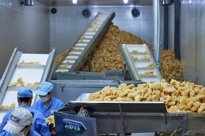 从田间到指尖 揭秘47.3亿单农特产背后的初级加工力量