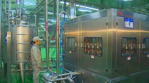 九十二 解码初级农产品加工的价值与前景