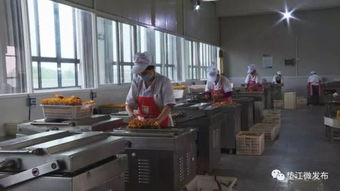 加快农产品加工业转型升级 以初级加工为支点，撬动经济高质量发展